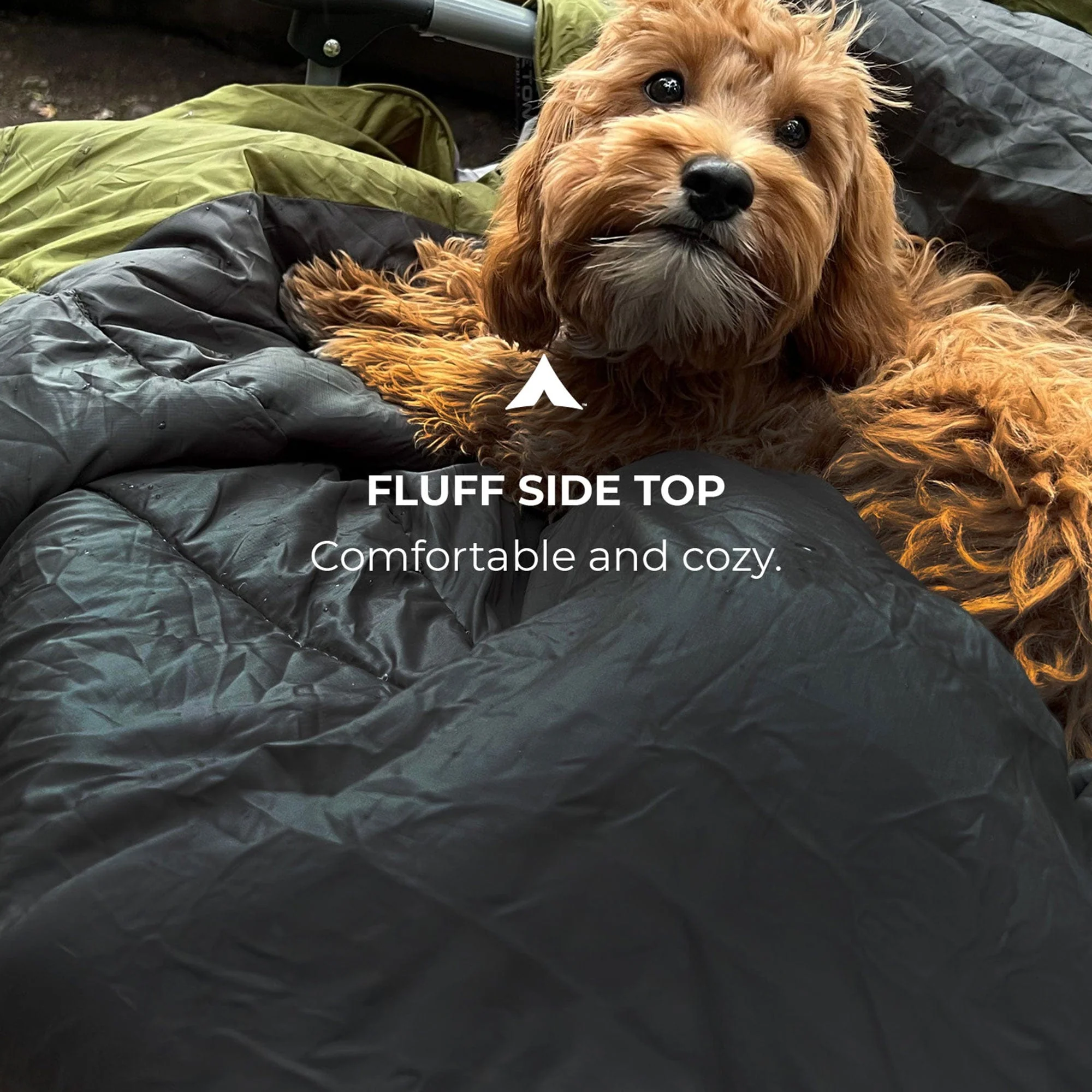 Highline Pet Blanket - Image 3