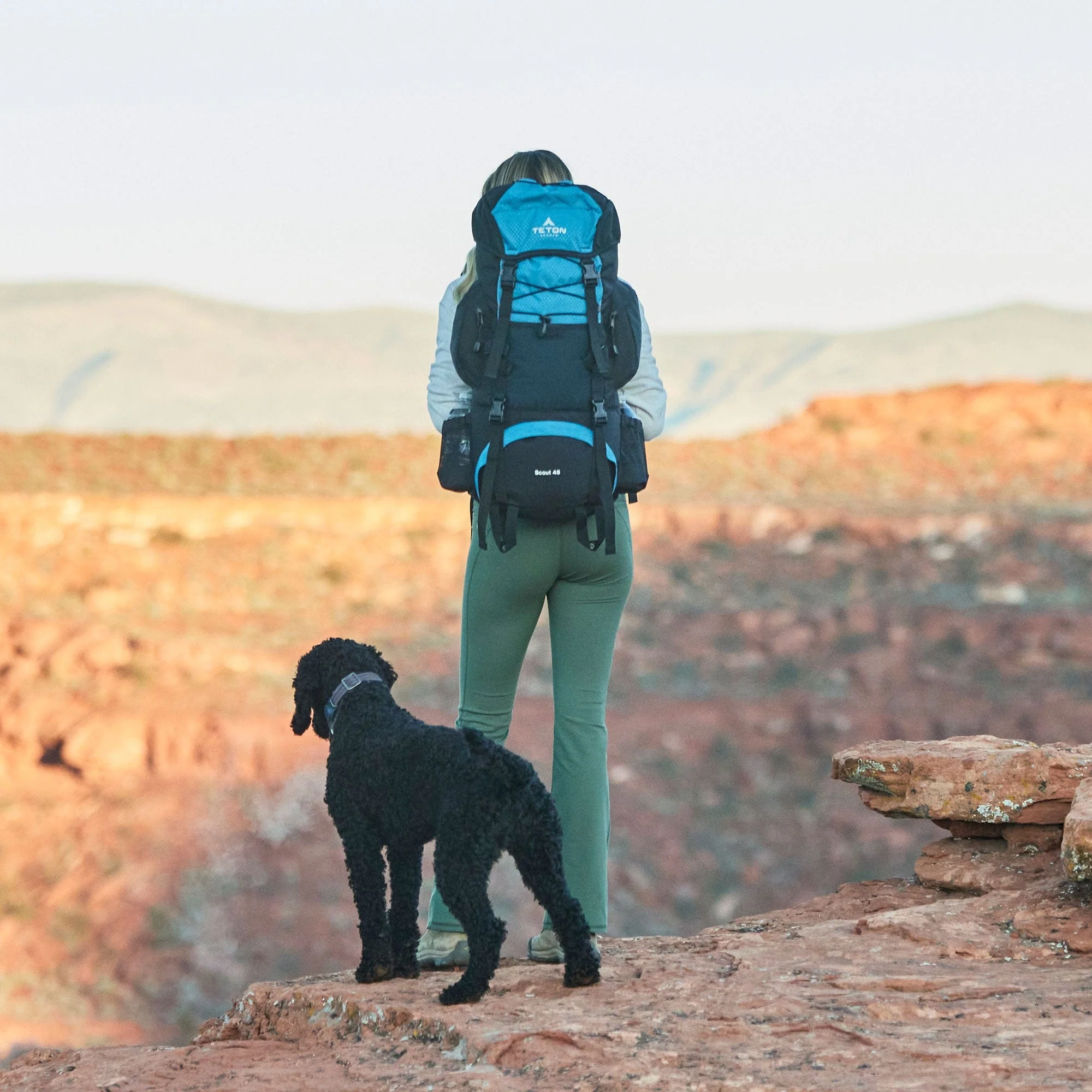 Scout Hiking Backpacks - Image 12
